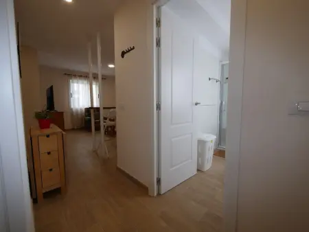 Appartement 38 m² équipé, 1 ch, centre La Laguna : photo 28