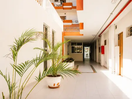 Studio 31 m² avec piscine à Puerto de la Cruz : photo 31