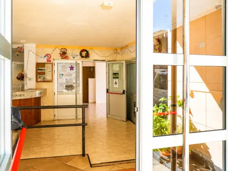 Studio 31 m² avec piscine à Puerto de la Cruz : photo 34