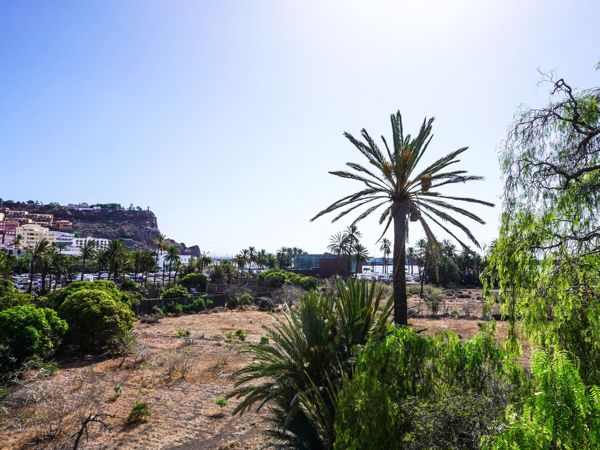 Maison moderne 40 m² à San Sebastián de la Gomera - Photo 29