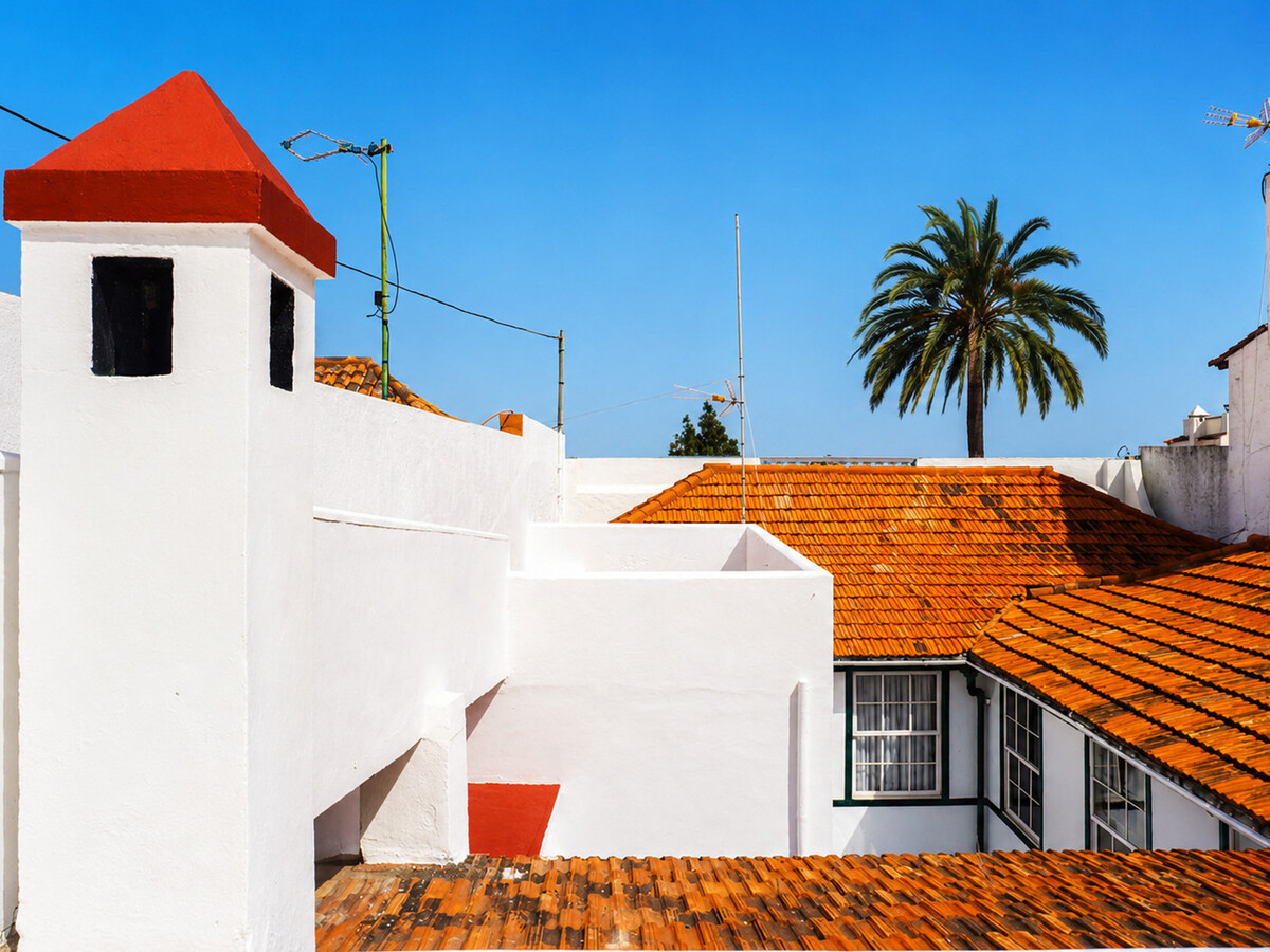 Maison mitoyenne 408 m² centre-ville La Orotava - Photo 6