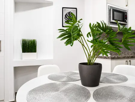 Appartement 4 pers. à 350 m de Playa de las Américas : photo 12