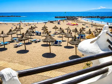 Appartement 4 pers. à 350 m de Playa de las Américas : photo 26