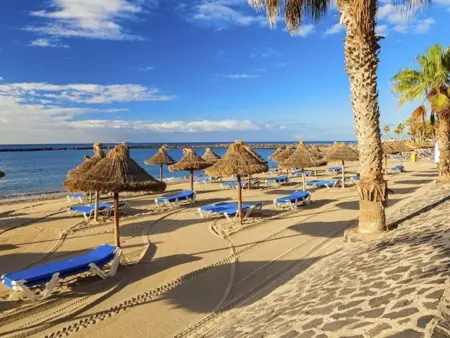 Appartement 4 pers. à 350 m de Playa de las Américas : photo 27