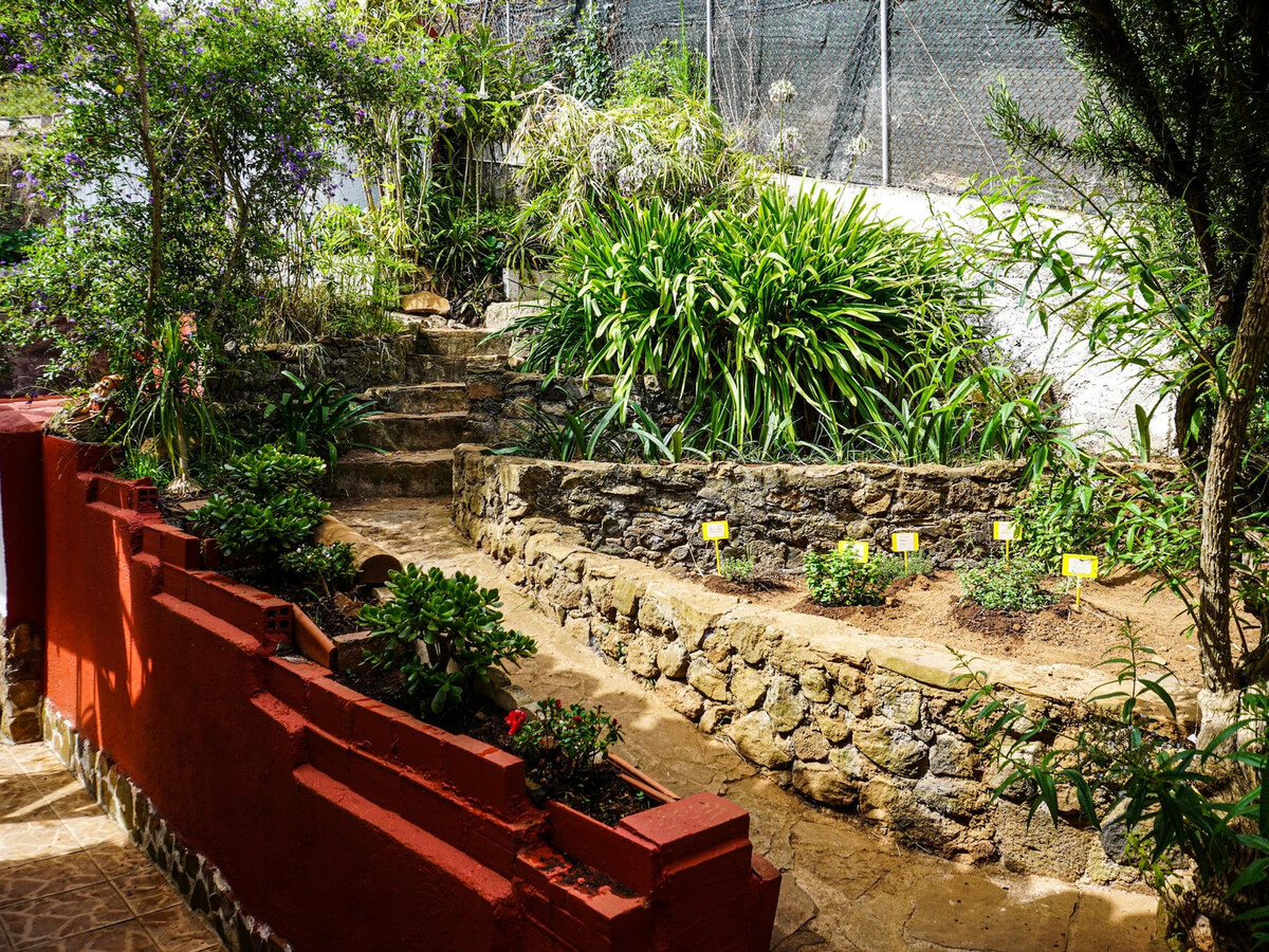 Maison 6 pers. vue mer et montagne à La Orotava - Photo 19
