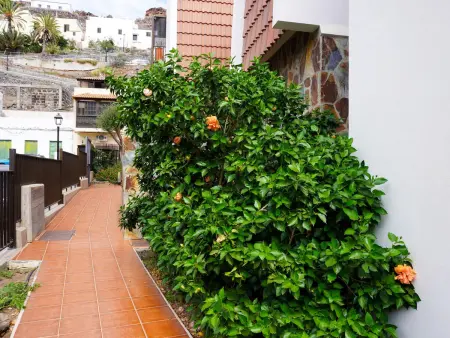 Appartement 64 m² vue piscine à Alajeró : photo 32