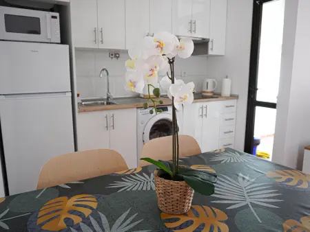 Appartement 64 m² vue piscine à Alajeró : photo 14