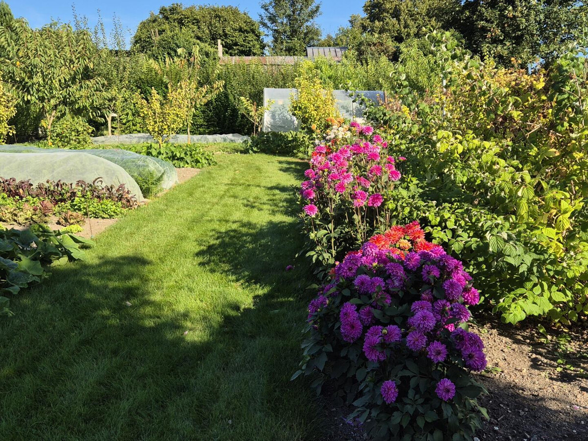 Gîte 5 pers. Bantouzelle, jardin & terrasse près Cambrai - Photo 25