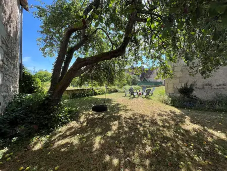 Maison 3 chambres, jardin clos et pommier centenaire : photo 20