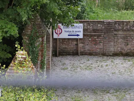 Gîte 8 pers. au cœur du Haras National du Pin : photo 29