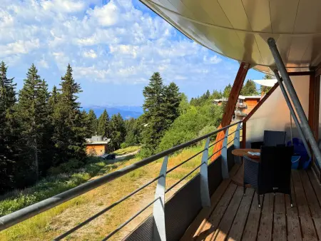 Appartement 3 pièces, balcon montagne, animaux acceptés : photo 7