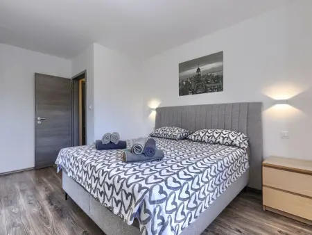Maison 8 personnes avec piscine privée à Šišan : photo 32