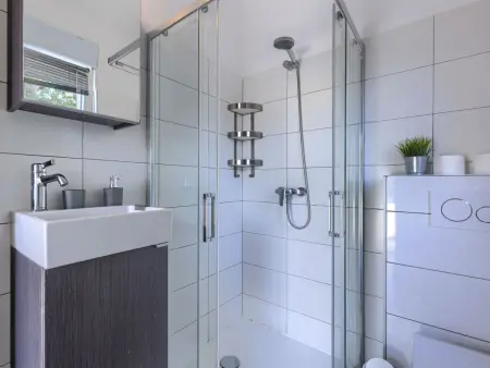 Maison 8 personnes avec piscine privée à Šišan : photo 52