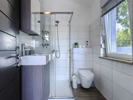 Maison 8 personnes avec piscine privée à Šišan : photo 53