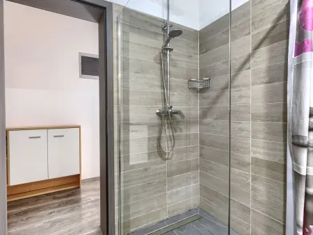 Maison 8 personnes avec piscine privée à Šišan : photo 55