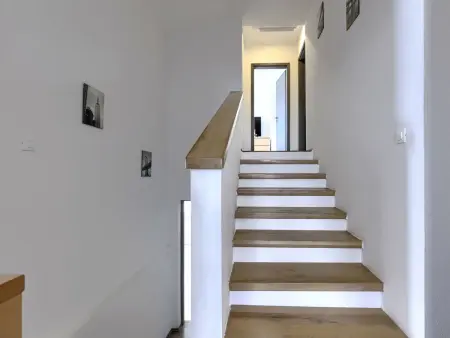 Maison 8 personnes avec piscine privée à Šišan : photo 56