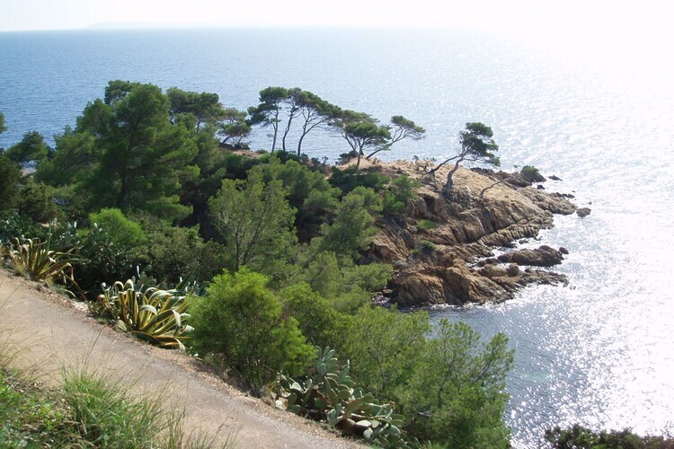 Maison 4 pers. Bormes-les-Mimosas, climatisée - Photo 26