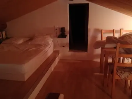 Appartement chalet 12 pers., 3 chambres aux Carroz : photo 13