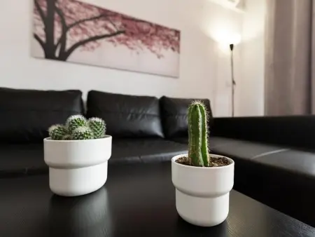 Monkó Cactus : appartement 6 pers. terrasse mer à Torremolinos : photo 14