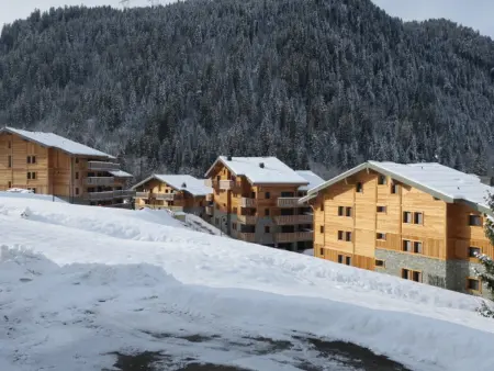 Appartement 2 chambres Châtel, balcon sud-ouest : photo 17