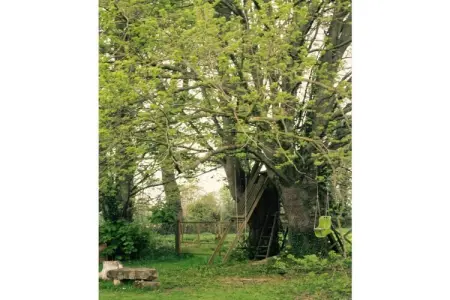 Maison 8 personnes avec jardin et jeux à Beauval-en-Caux : photo 17