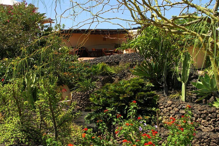 Maison 2 chambres avec jardin tropical à Puerto del Carmen - Photo 2