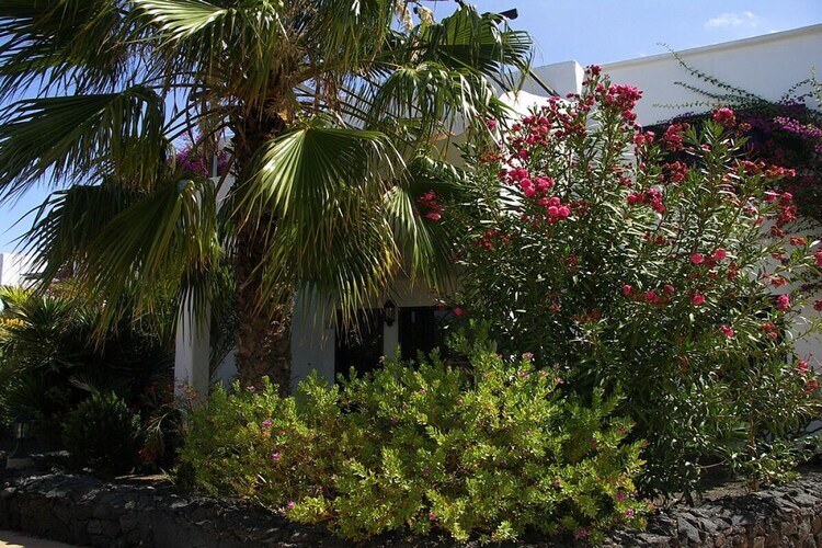 Maison 2 chambres avec jardin tropical à Puerto del Carmen - Photo 5