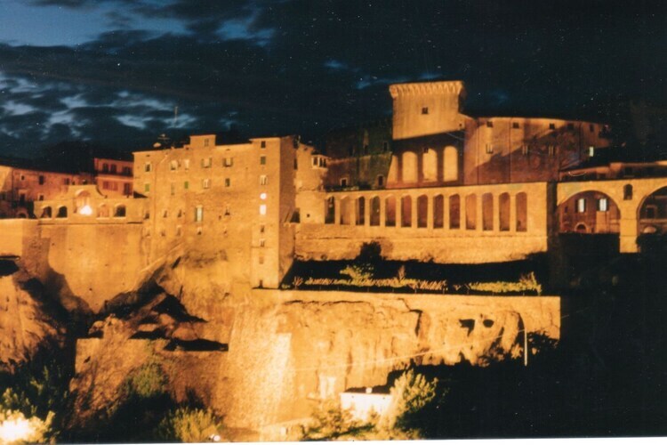 Maison historique à Pitigliano avec vignes et vue sur l'Amiata - Photo 15
