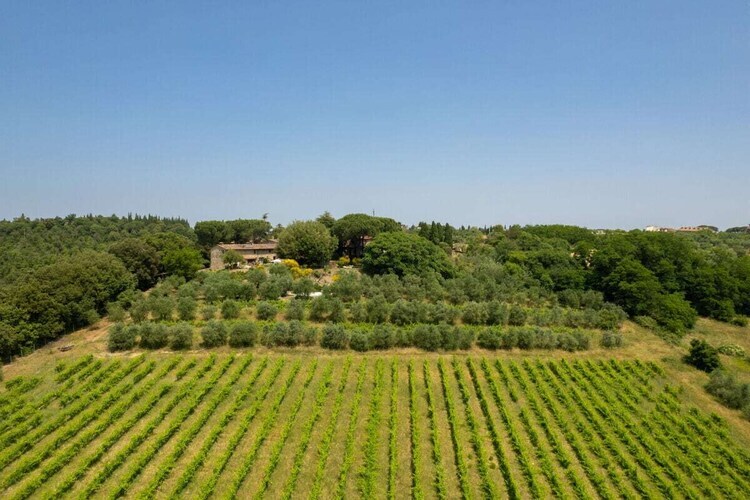 Maison toscane avec piscine à Gambassi Terme - Photo 33