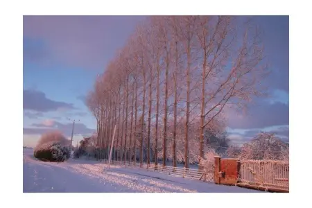 Maison 6 personnes à Beauval-en-Caux, poêle bois : photo 33