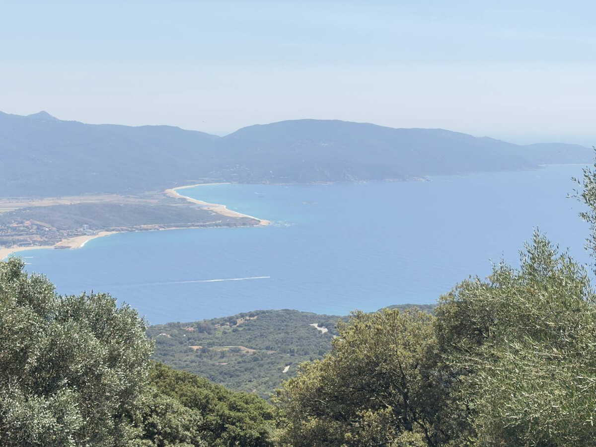 Villa 8 pers. à Olmeto : vue mer et piscine - Photo 10