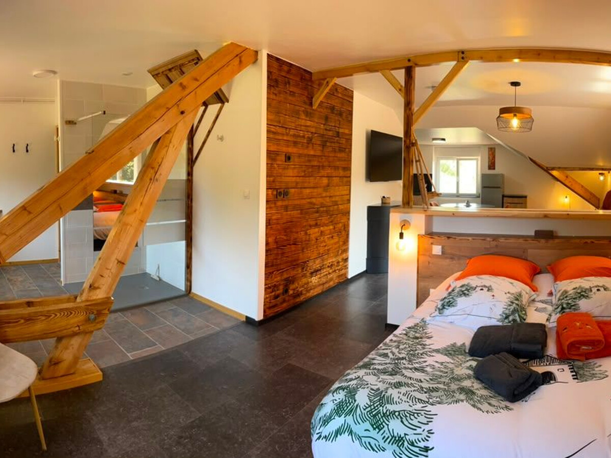 Appartement 2 pers. avec étangs privés à Hadol - Photo 21