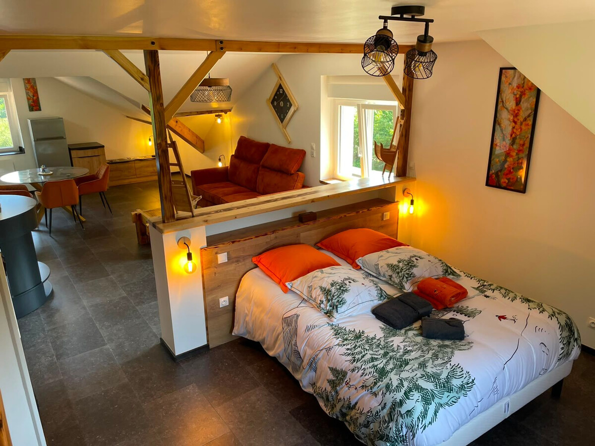 Appartement 2 pers. avec étangs privés à Hadol - Photo 24