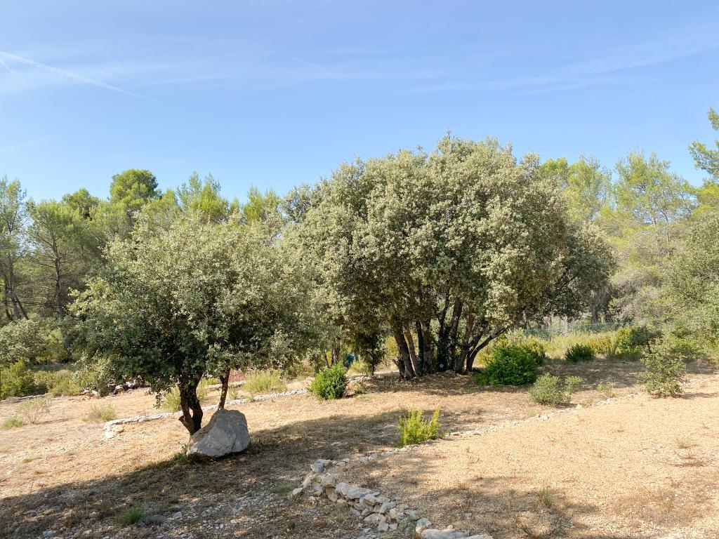 Les Cigales – Maison 6 pers. avec piscine au Verdon - Photo 25