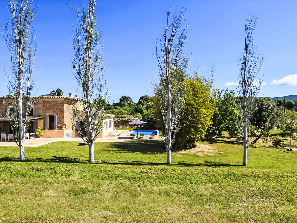 Es Moli Son Servera – Gîte ferme 6 pers., piscine - Photo 7