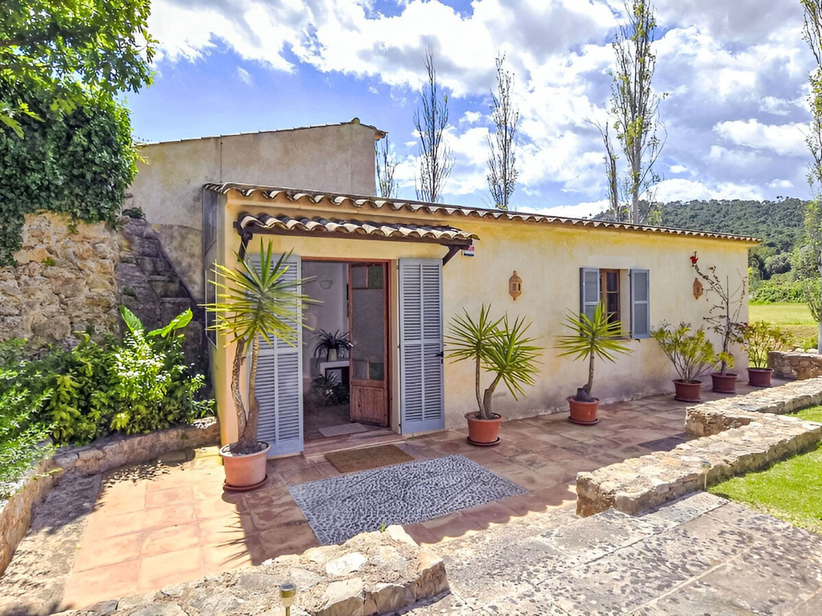 Es Moli Son Servera – Gîte ferme 6 pers., piscine - Photo 31
