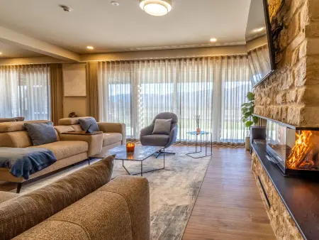 Villa Alfa luxe 355 m² – Piscine chauffée à Lovinac : photo 48