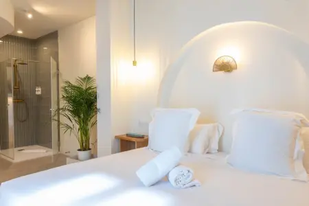 Appartement centre-ville Alicante avec jacuzzi : photo 15