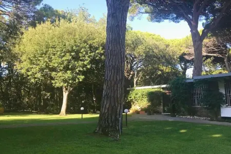 Villa vintage avec piscine privée à Punta Ala : photo 41