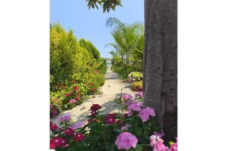 Maison 4 personnes avec jardin à Santa Teresa di Riva : photo 1
