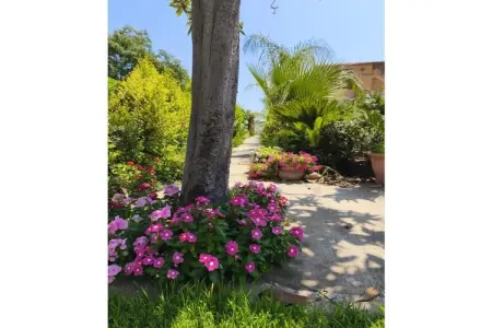 Maison 4 personnes avec jardin à Santa Teresa di Riva : photo 4