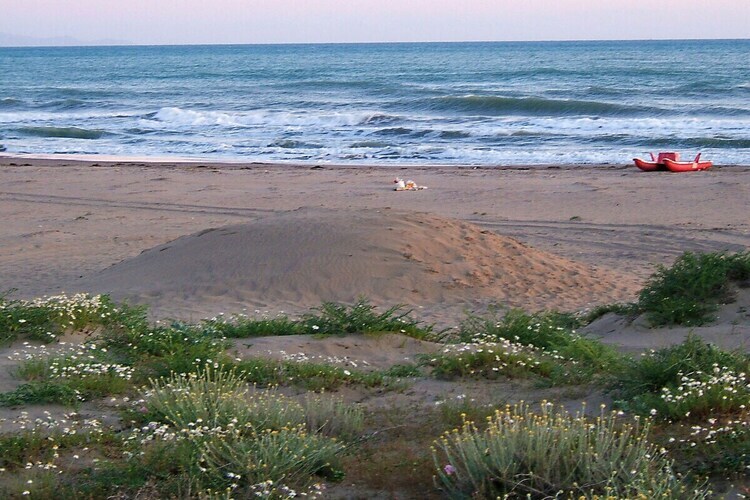 Maison de vacances Marina di Grosseto, 550 m de la plage - Photo 27