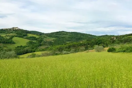 Villa toscane avec piscine débordement à Pari : photo 39
