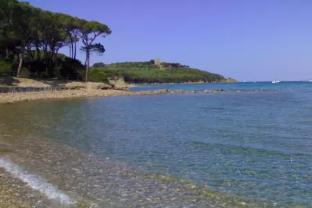 Villa Molletta à Punta Ala, 5 chambres, 9 personnes : photo 30
