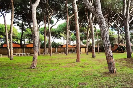 Maison Germoglio : 20 m de la plage à Albinia : photo 27
