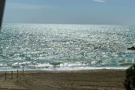 La Ginestra : appartement face à la mer à Albinia : photo 37