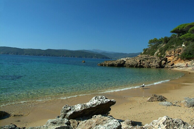 Appartement 4 pers. à 20m de la mer, Portoferraio - Photo 13