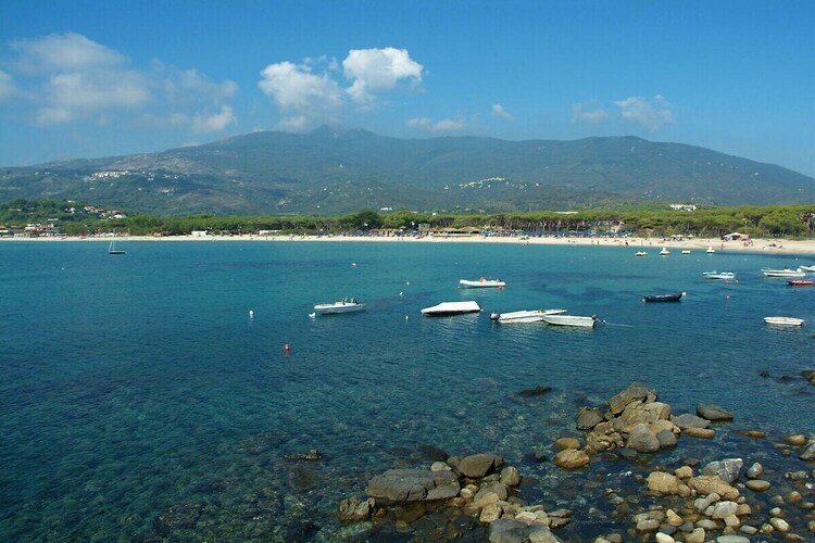 Villetta Le Palme - Chalet 6 pers. à Marina di Campo - Photo 5