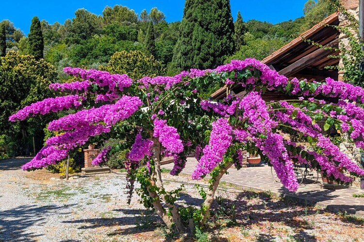 Villa Toscane 7 pers. – 5 hectares, piscine privée - Photo 10