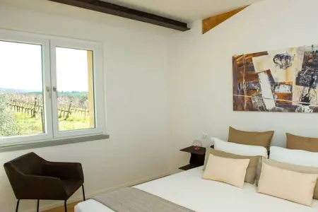 475841, Villa Bibbona avec piscine - Photo 22